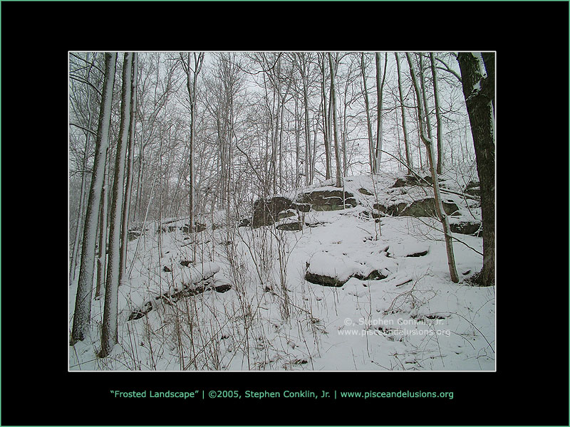 Frosted Landscape Frosted Landscape