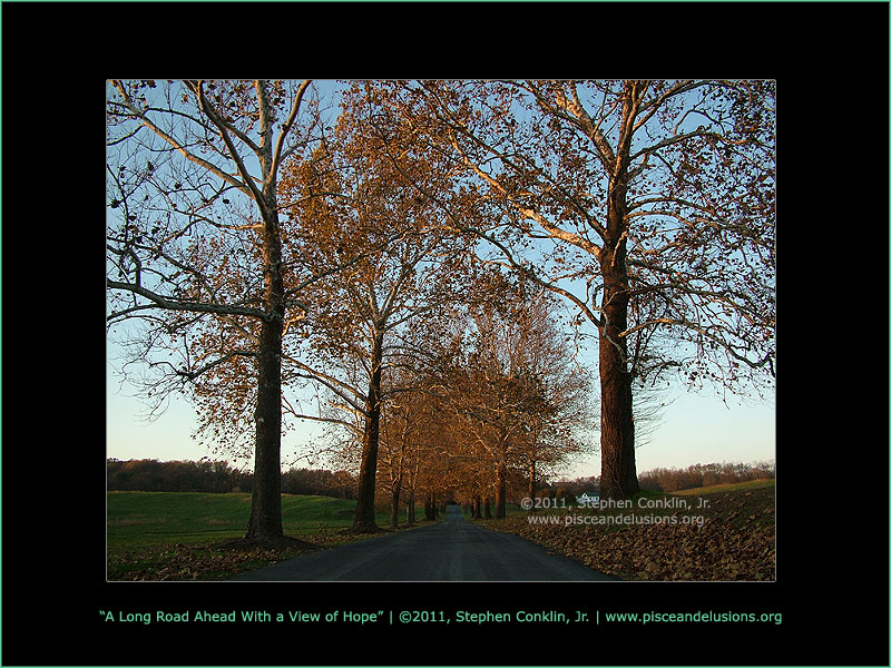 A Long Road Ahead With a View of Hope A Long Road Ahead With a View of Hope