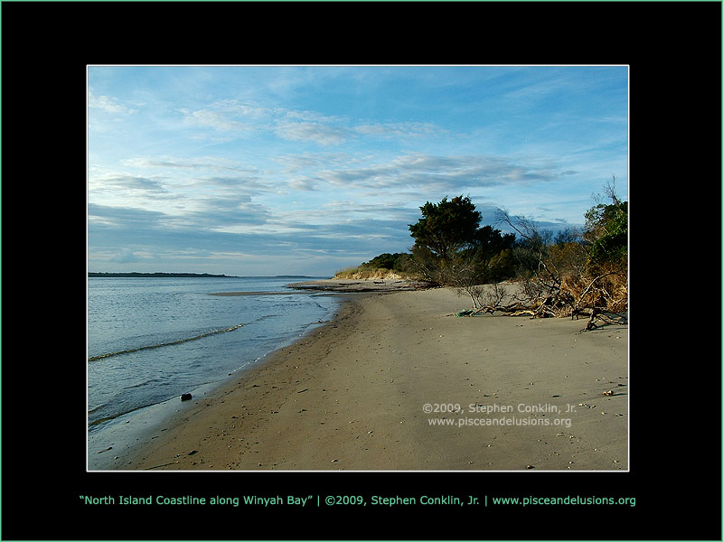 North Island Coastline along Winyah Bay North Island Coastline along Winyah Bay