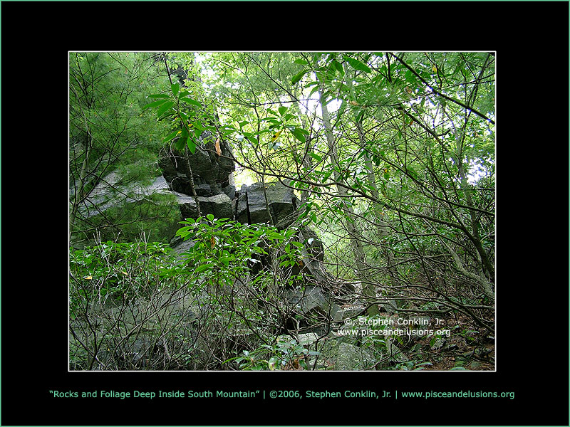 Rocks and Foliage Deep Inside South Mountain Rocks and Foliage Deep Inside South Mountain